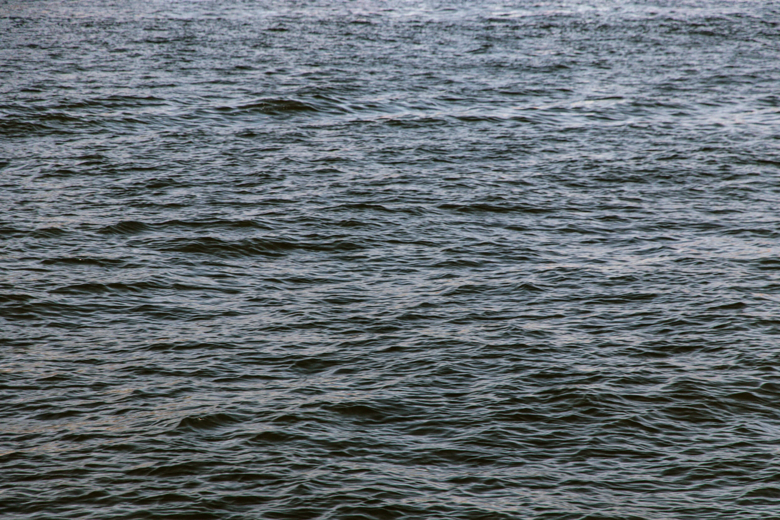 Soft Summer, Soft Autumn