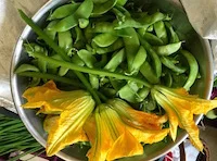 Snow peas dont get any fresher from Cliffs of Moher retreat