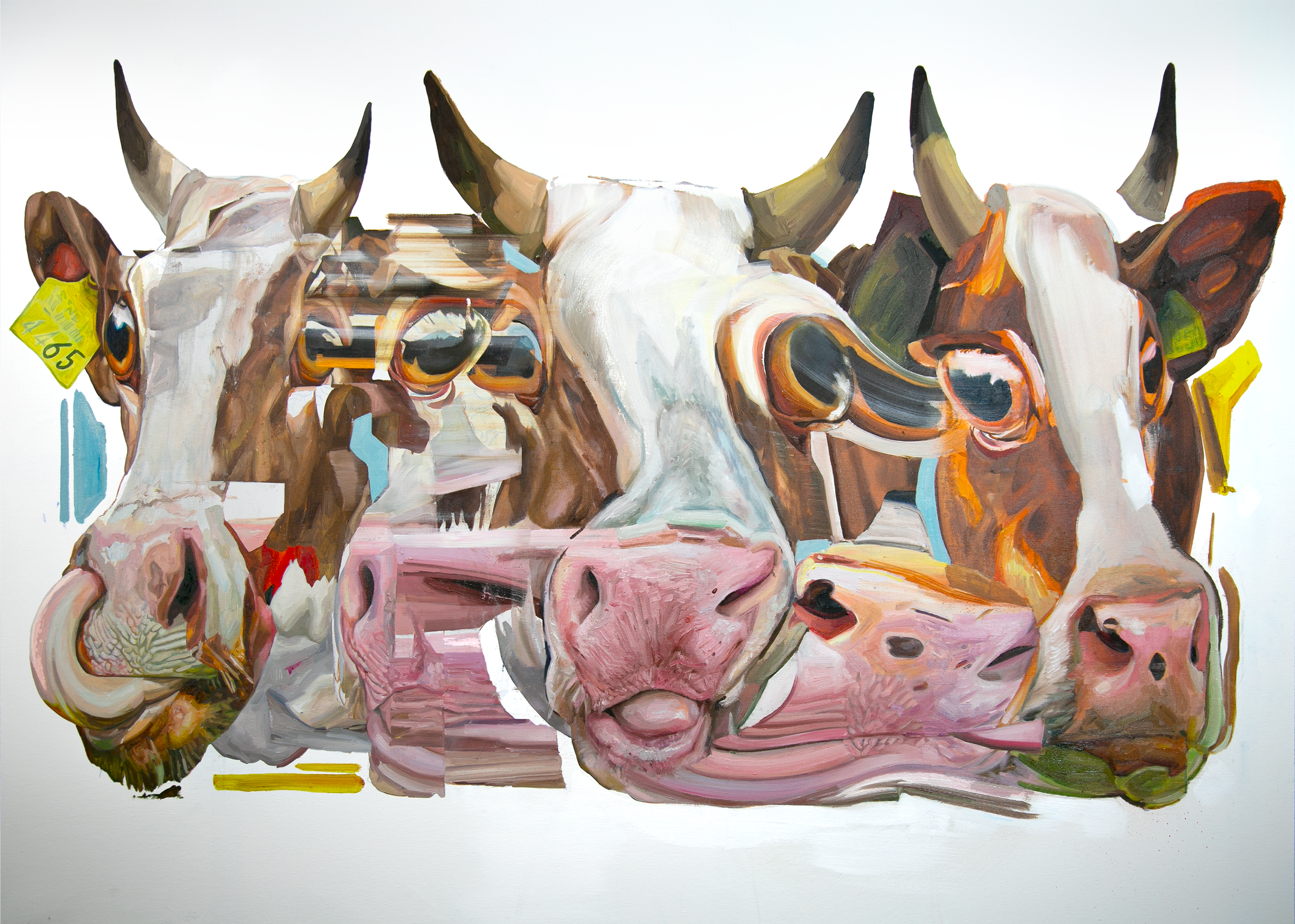 Cow