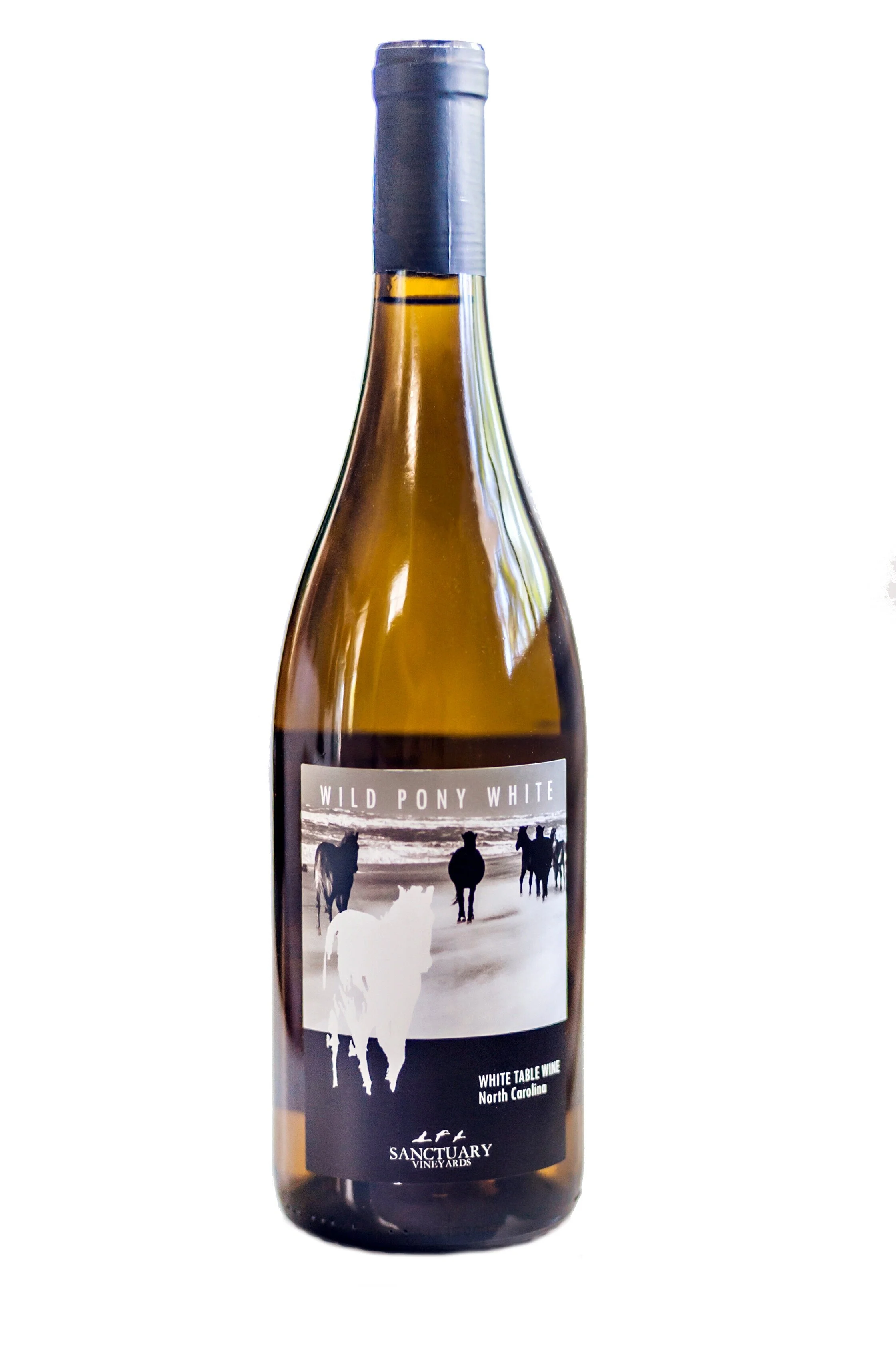 Award winning NC Wines at Sanctuary Vineyards tasting room, winery