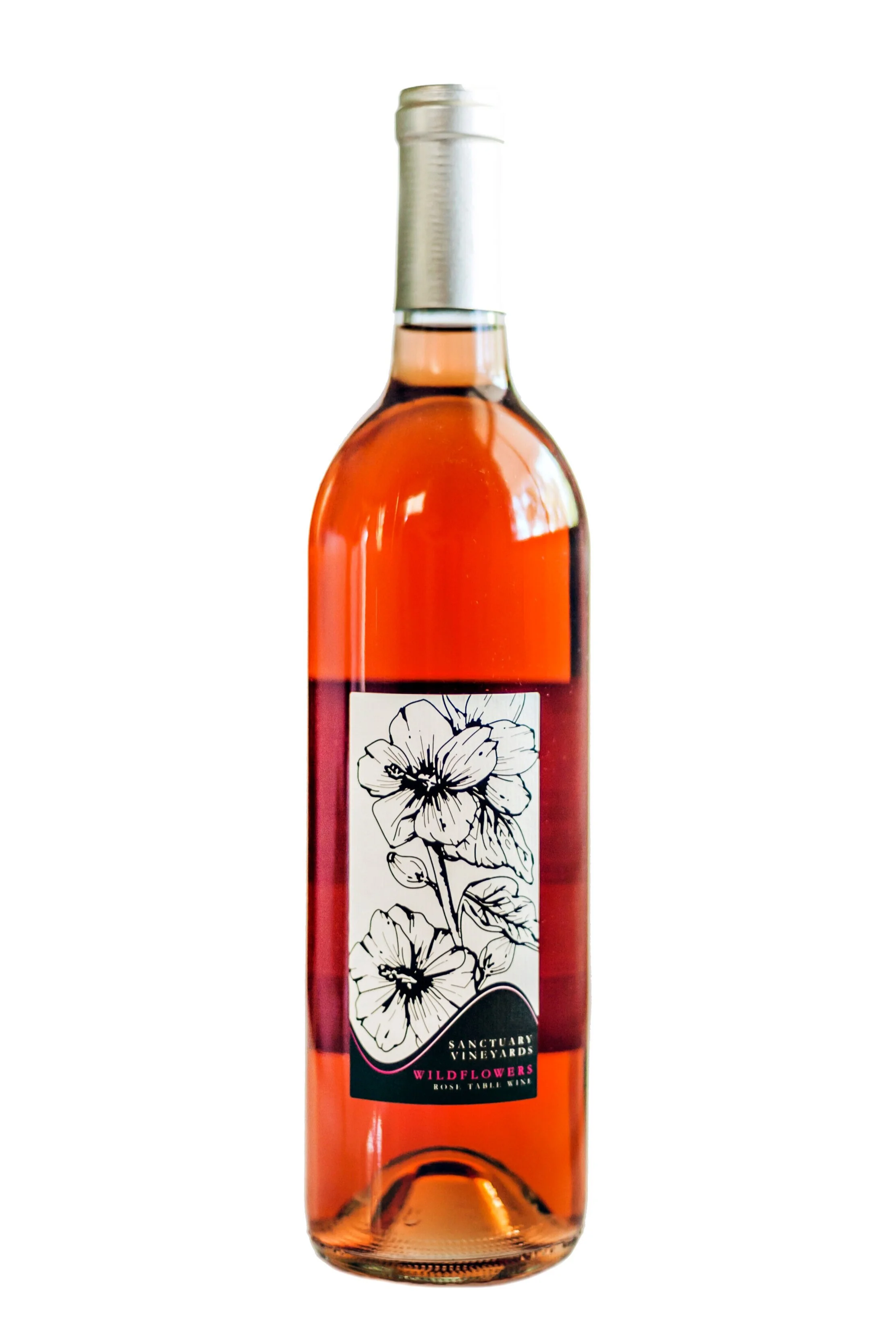 Award winning NC Wines at Sanctuary Vineyards tasting room, winery