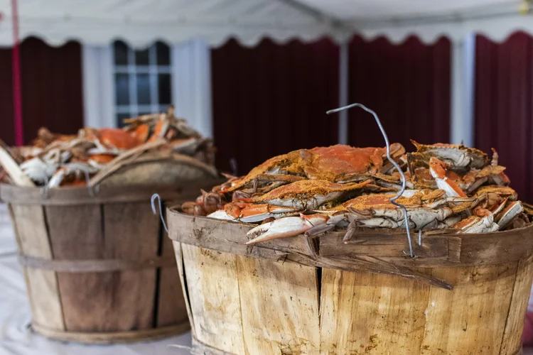 008_crabdaddy_100823.jpg