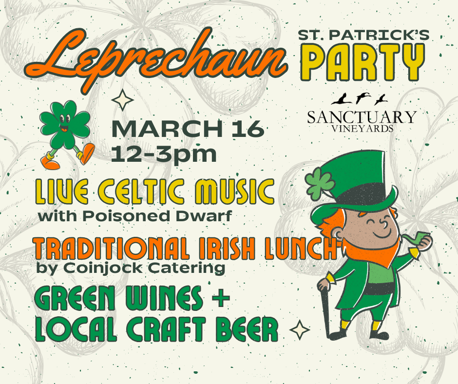 Leprechaun St Patrick s Party Sunday March 16th From 12 3pm leprechaun-st-patrick-s-party-sunday-march-16th-from-12-3pm