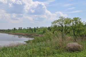 22-Freshkills-Park-1024x680-300x199.jpg