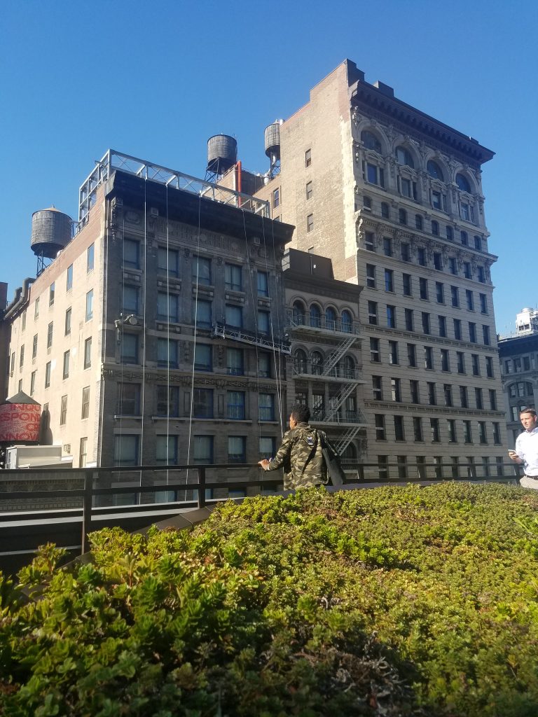 closer-shot-of-greenery-with-building-and-lady-2-e1508955155400-768x1024.jpg