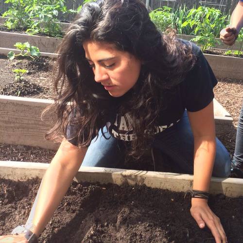 Maria Lopez-Nunez Director of Environmental Justice & Community Development at Ironbound Community Corporation