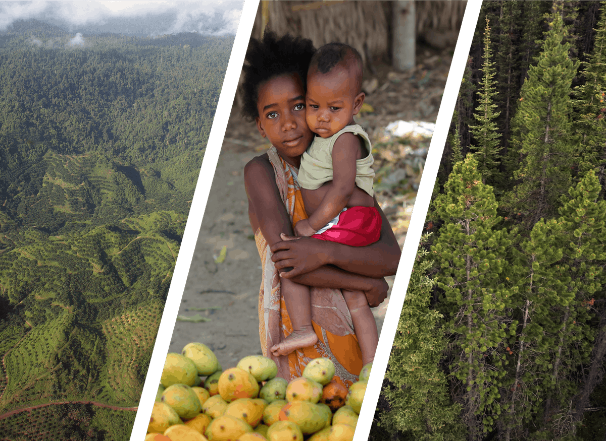 Indigeneity and Systemic Change