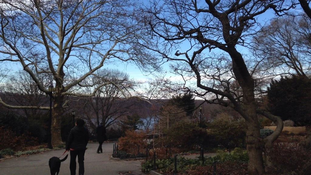 Self Reflection on Identity, Nature and Music Making