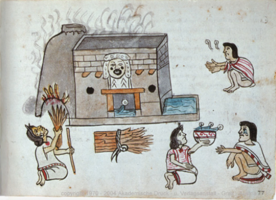  Reclaiming Indigenous Paths to Health in Times of Planetary Crises: From Colonialism to Climate Injustice and COVID-19