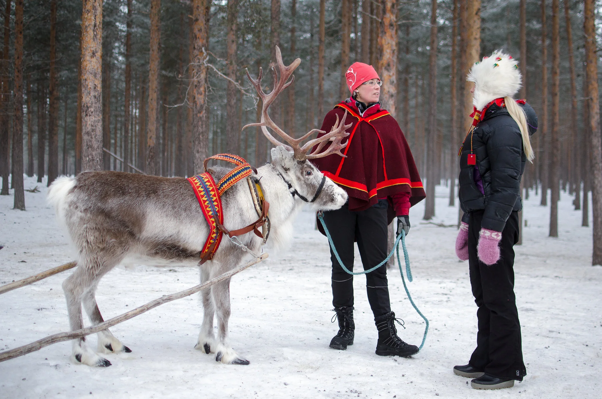 Making the Uneven Visible: Narratives of Ecomodernism and Environmental Justice in Sweden