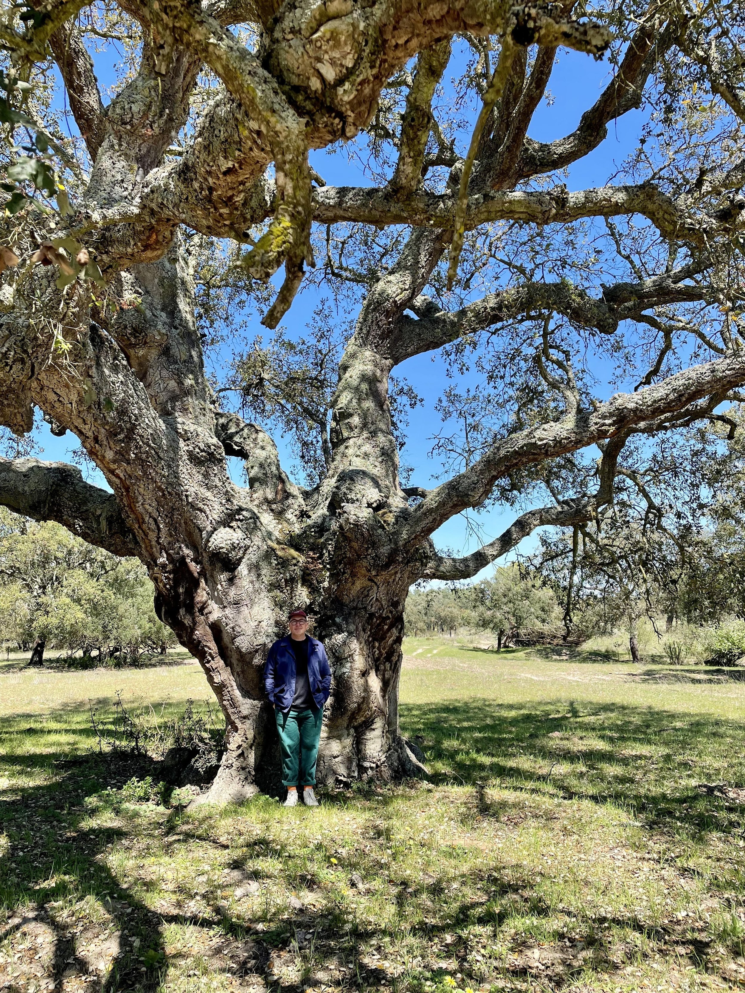 [EXTERNAL] What can cork teach us? 