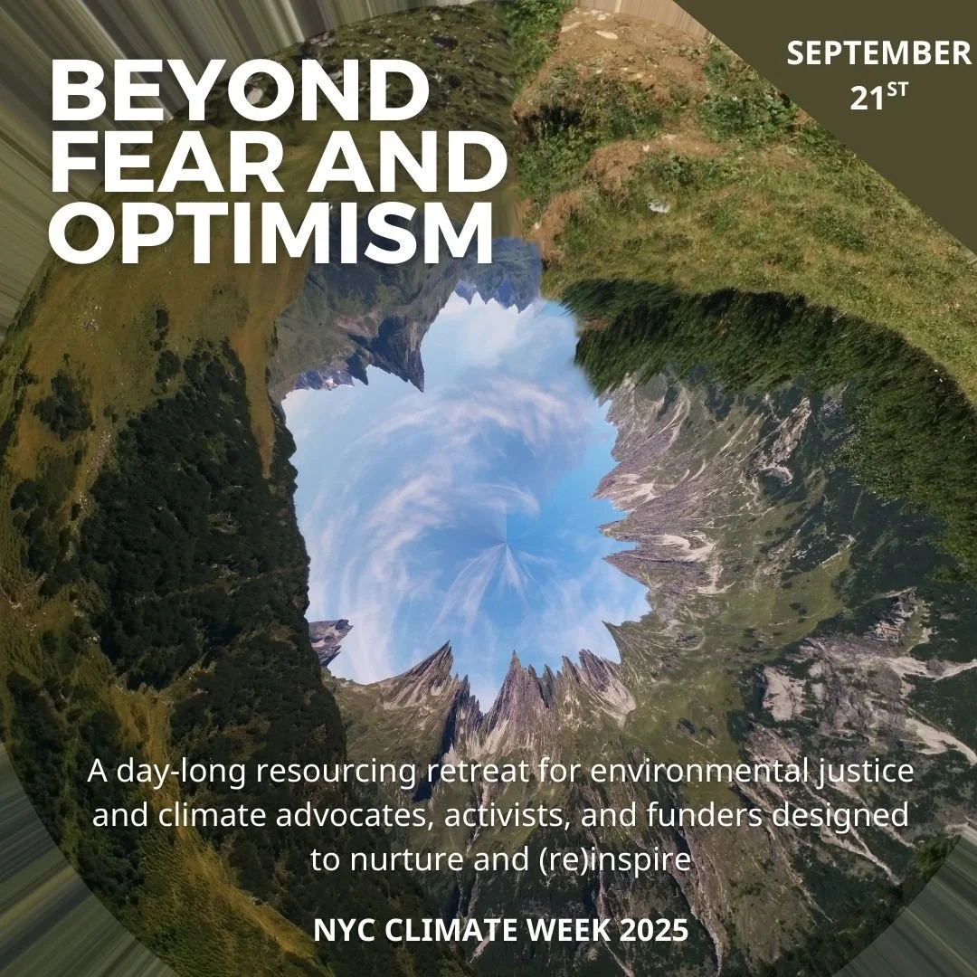 [PUBLIC] BEYOND FEAR OR OPTIMISM: Towards Sustainable Ecological Activism