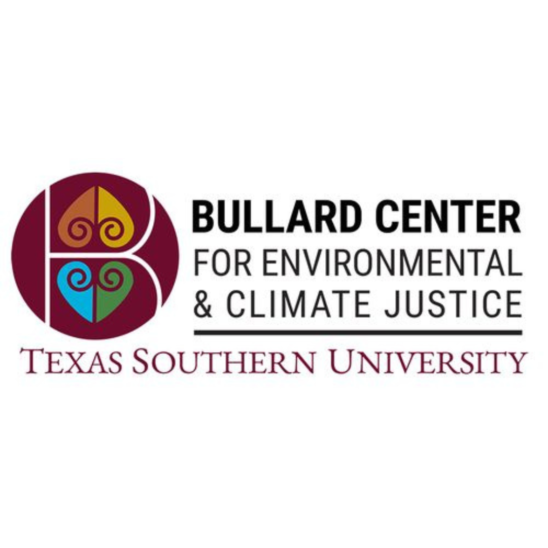 Dr. Denae King, The Bullard Center, Texas Southern University.png