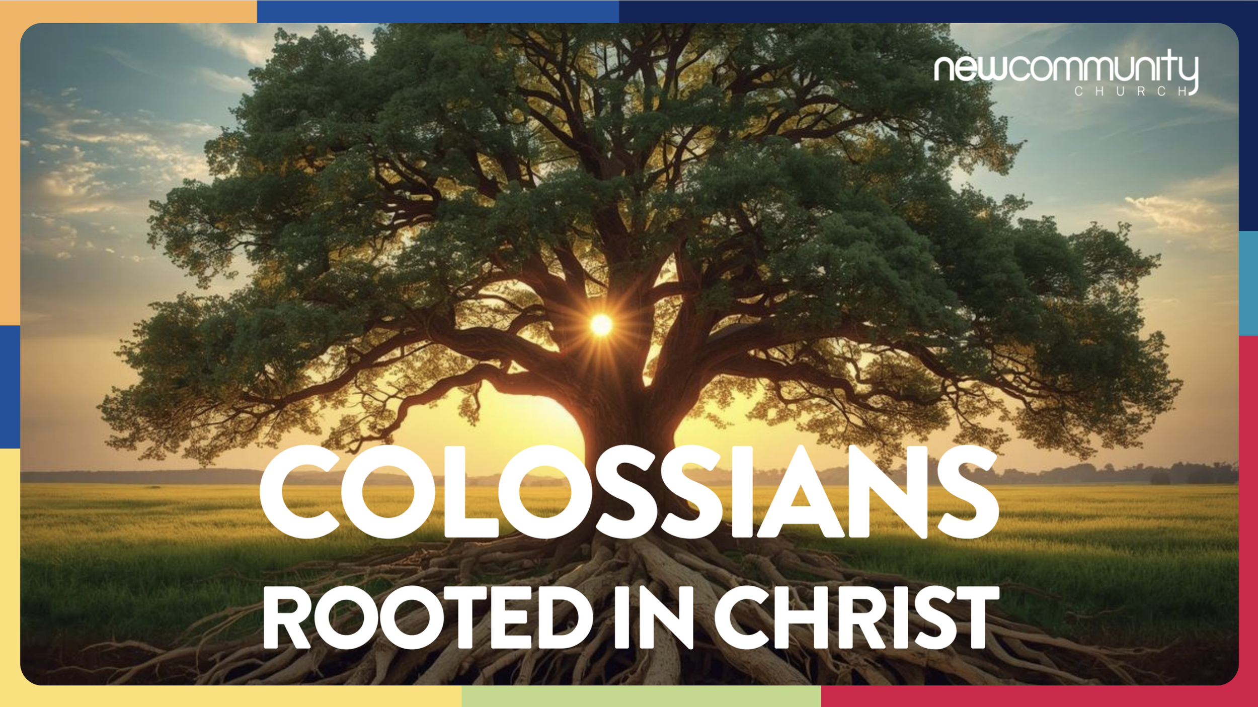 Rooted in Christ 9 | Flora Hinks | 19th July 2026