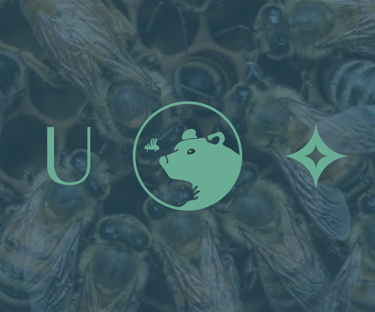 ursa intro image.png