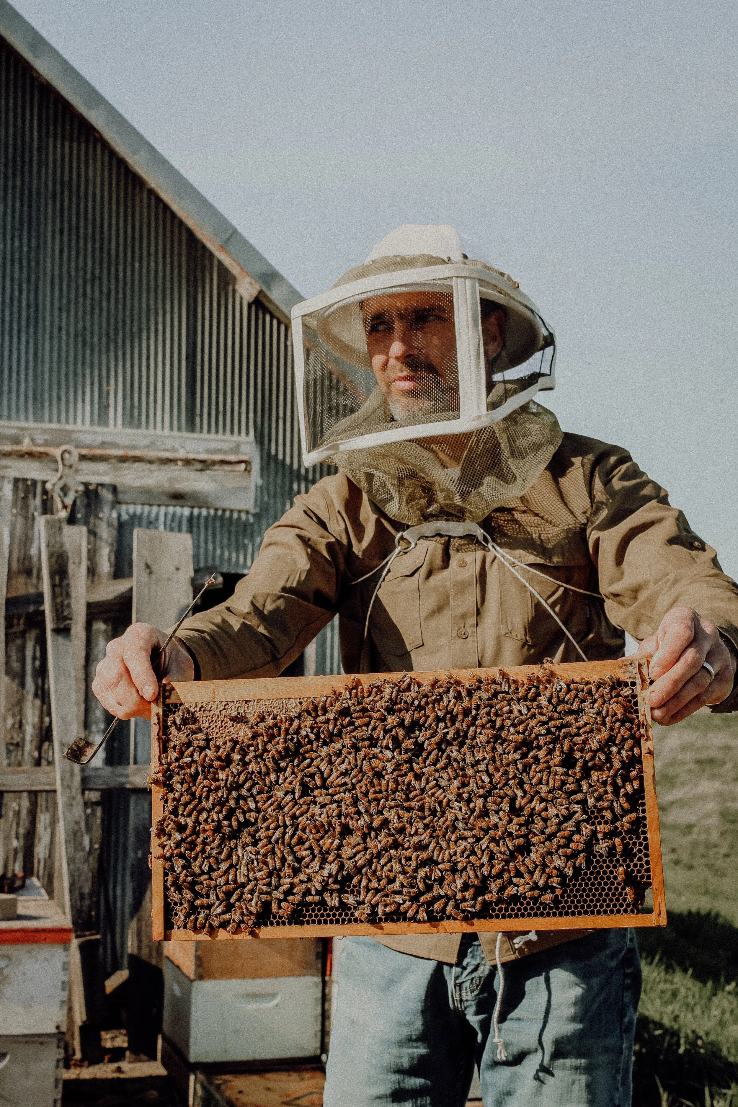 Sweater Weather...So what do the BEES do?