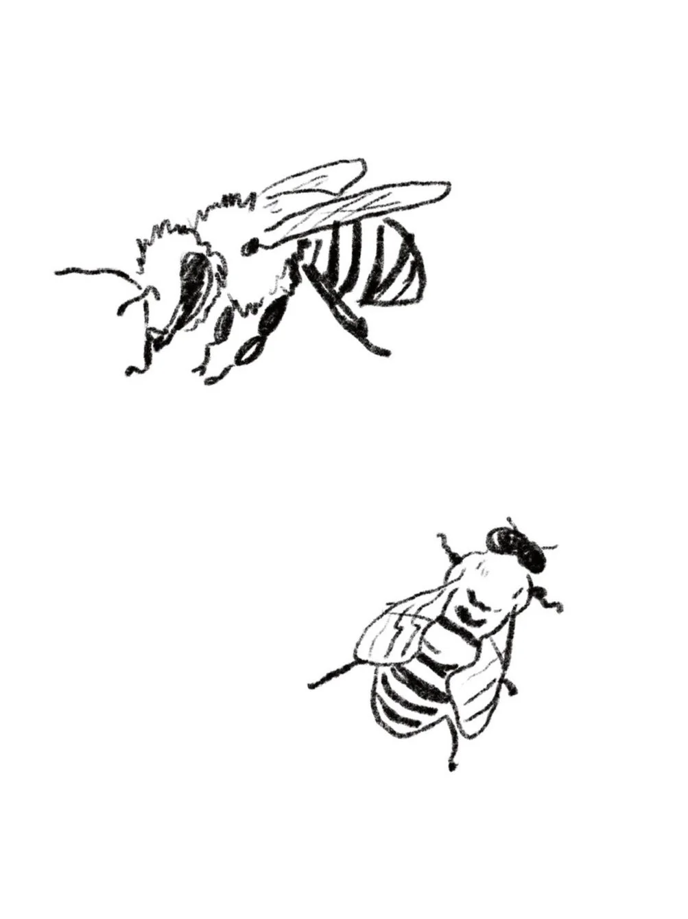 Bee Yard