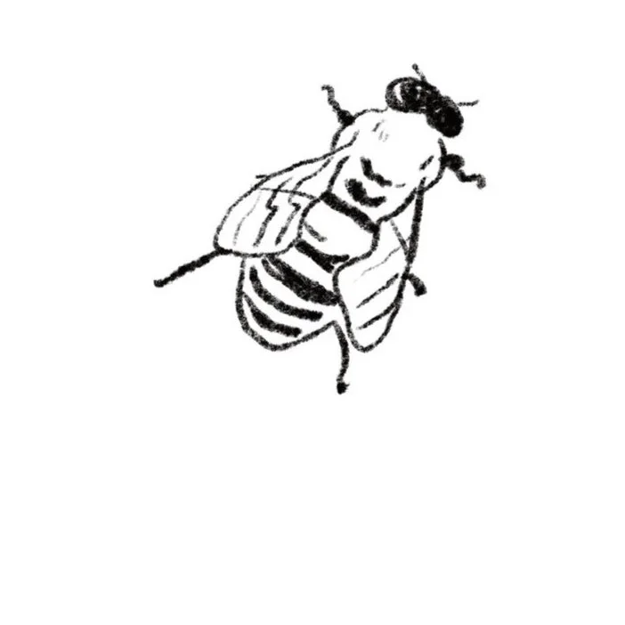 Pollinator's Apothecary 