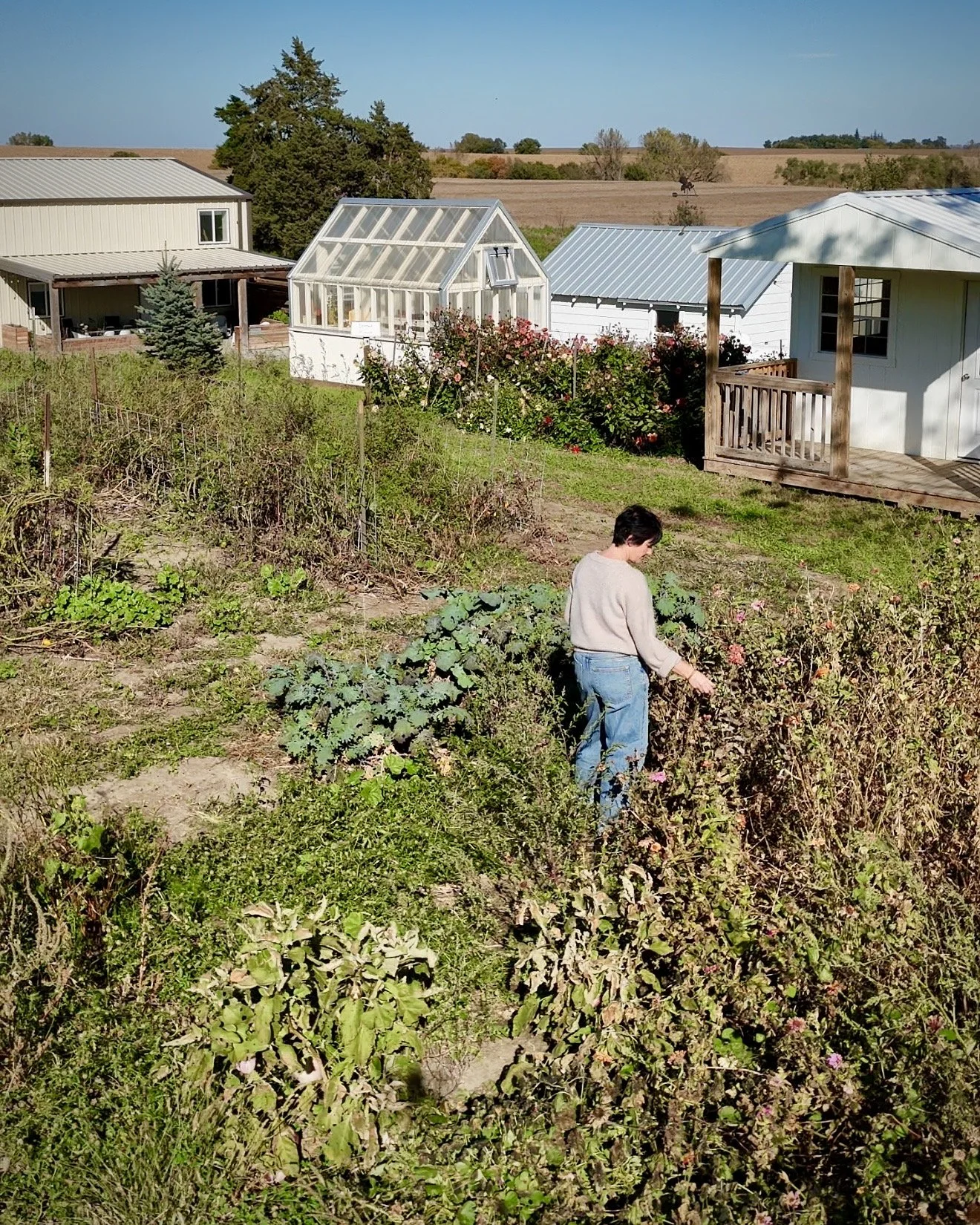 Your Messy Fall Garden Is Doing More Good Than You Think