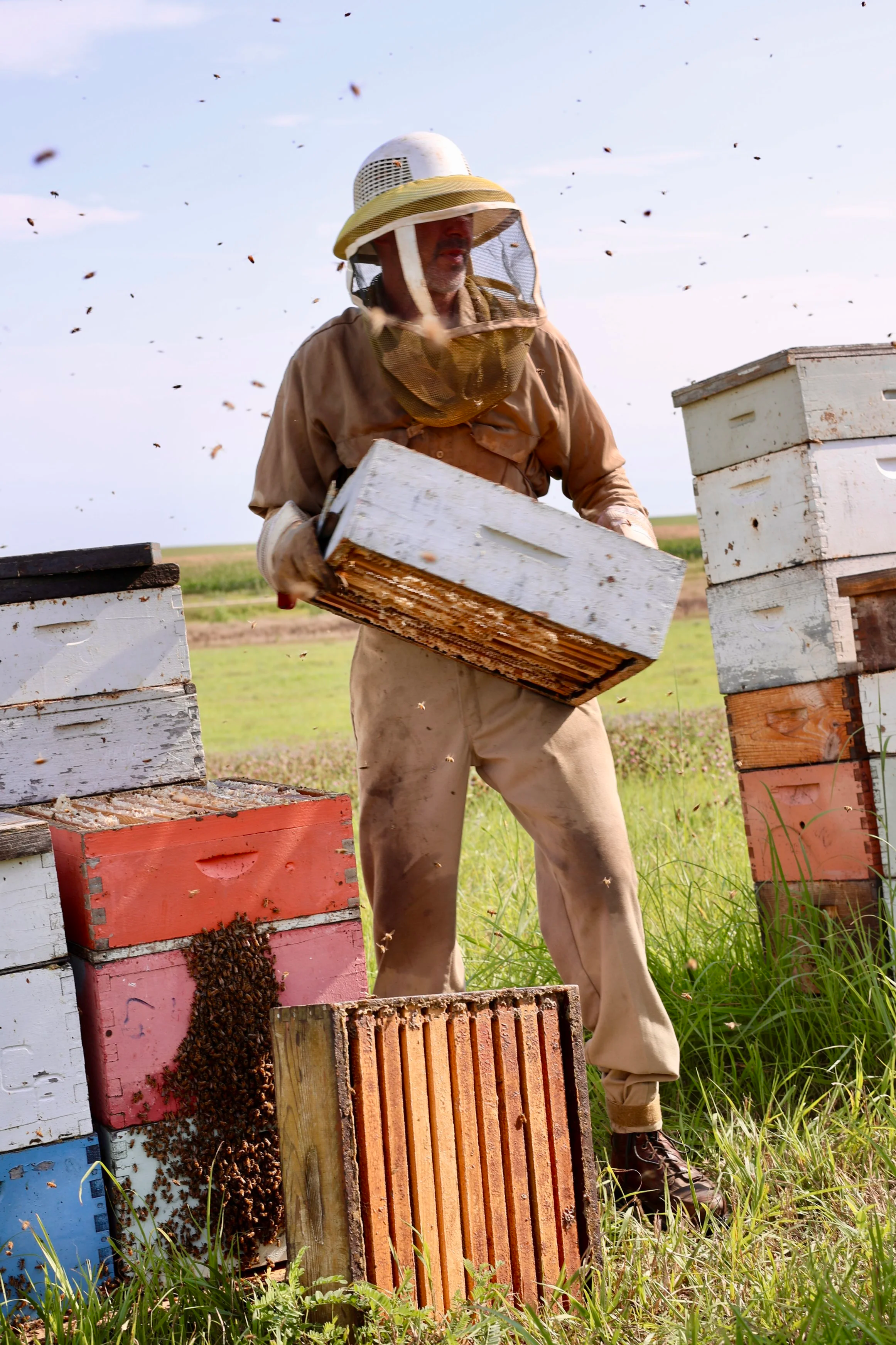 Why We Call Them "Hope Boxes"