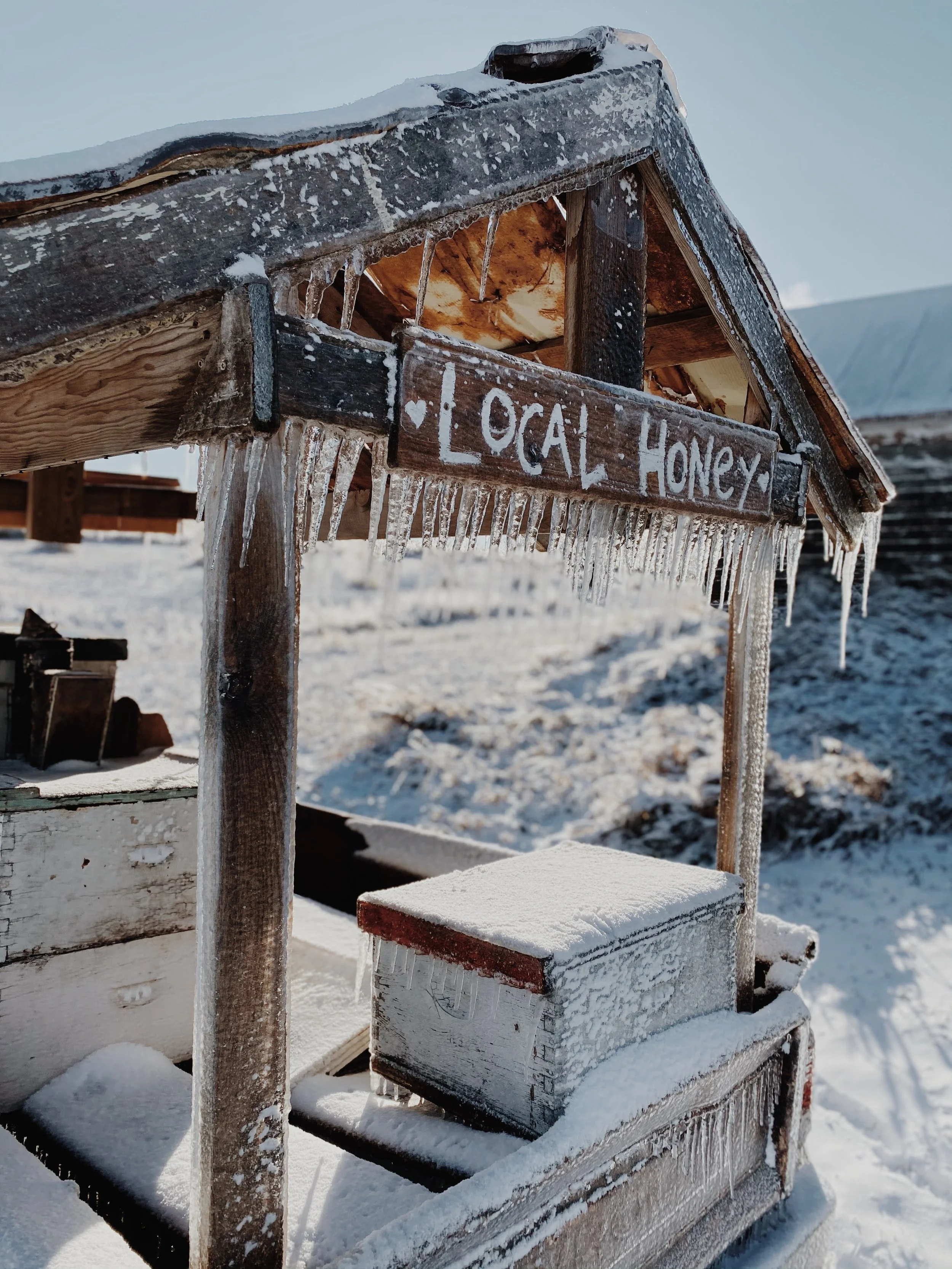 Winter &amp; HoneyBees