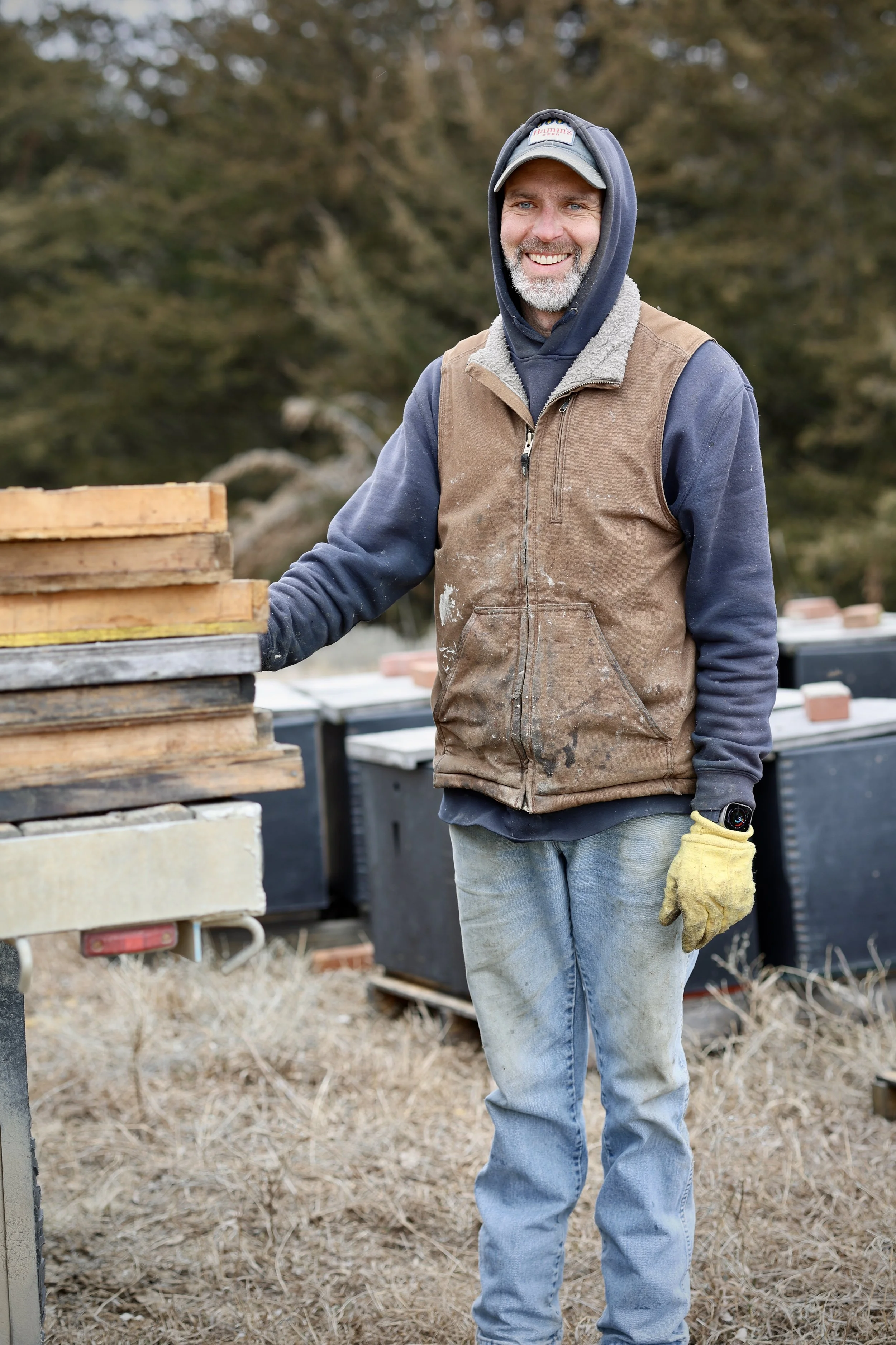 Beekeeper checking insulated honeybee hives during winter preparation in a Nebraska bee yard.
