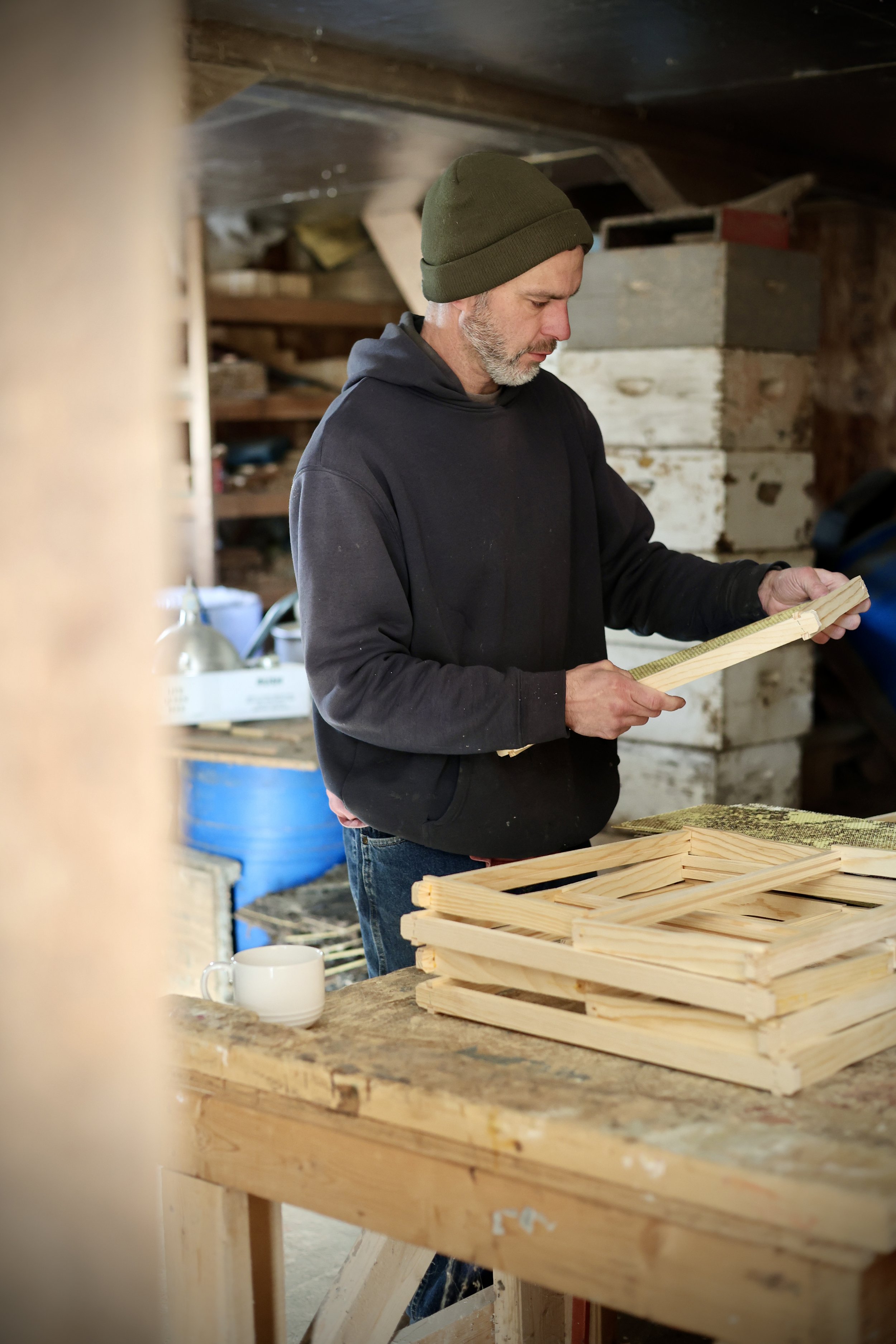 Roots &amp; Winter Work