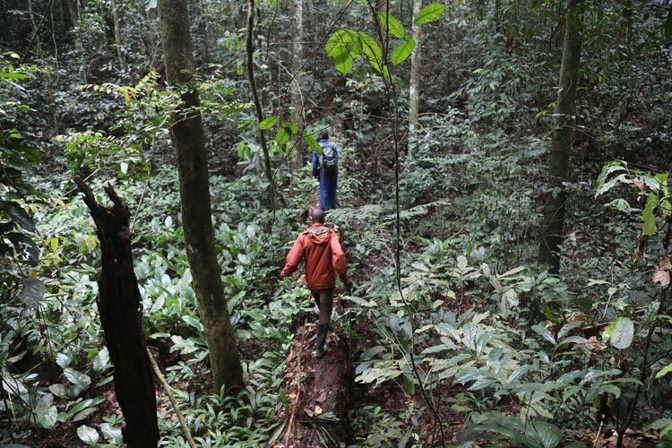 &lsquo;COMMUNITY OWNERSHIP&rsquo; MIGHT BE THE BEST WAY TO FIGHT DEFORESTATION

In our latest feature, Peter Yeung finds out that when forests are managed by the people who live in them, conservation tends to follow. 

Find out more: link in bio👆

S
