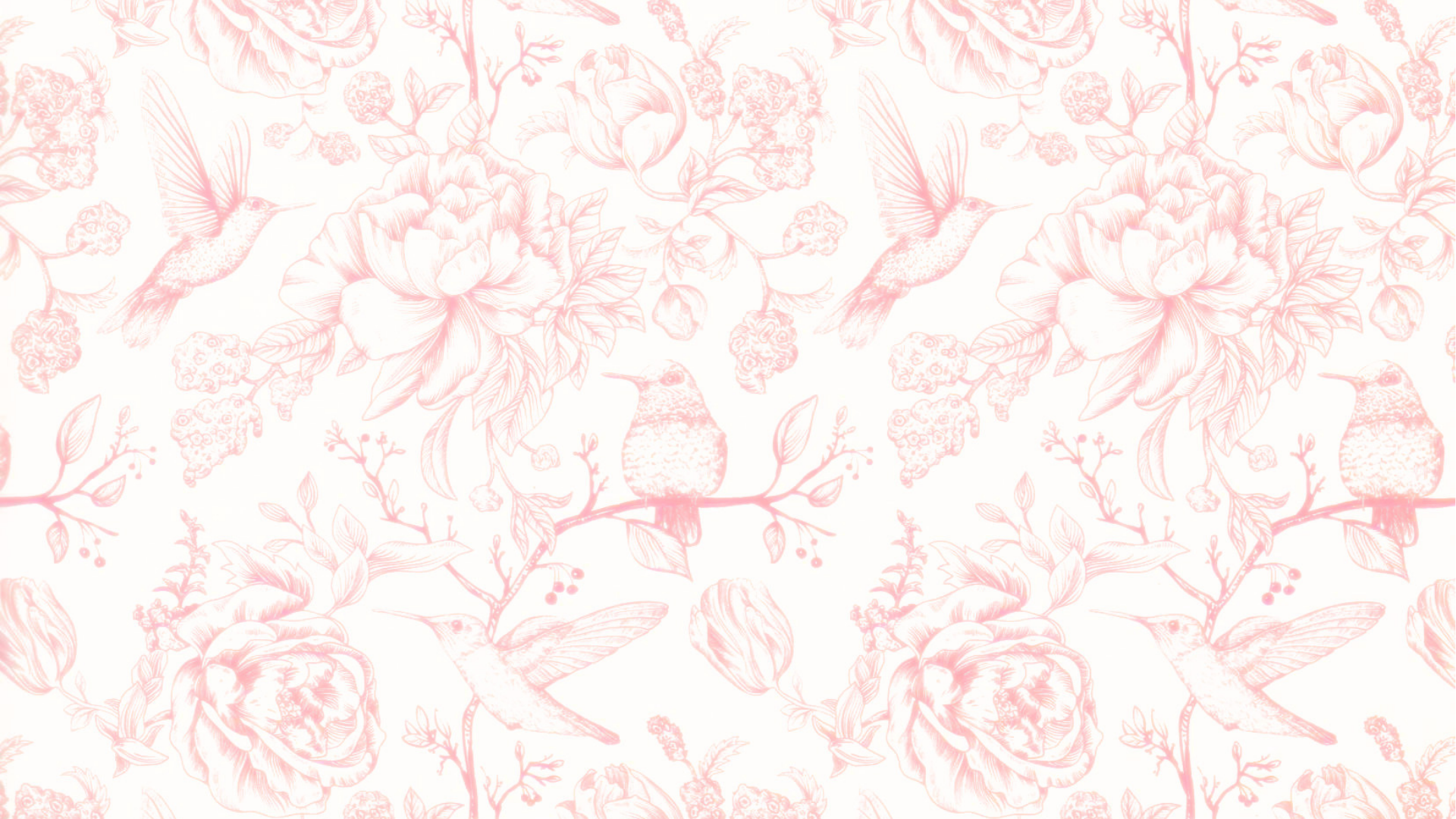 banniere sans titre rose oiseau fleur flou.png