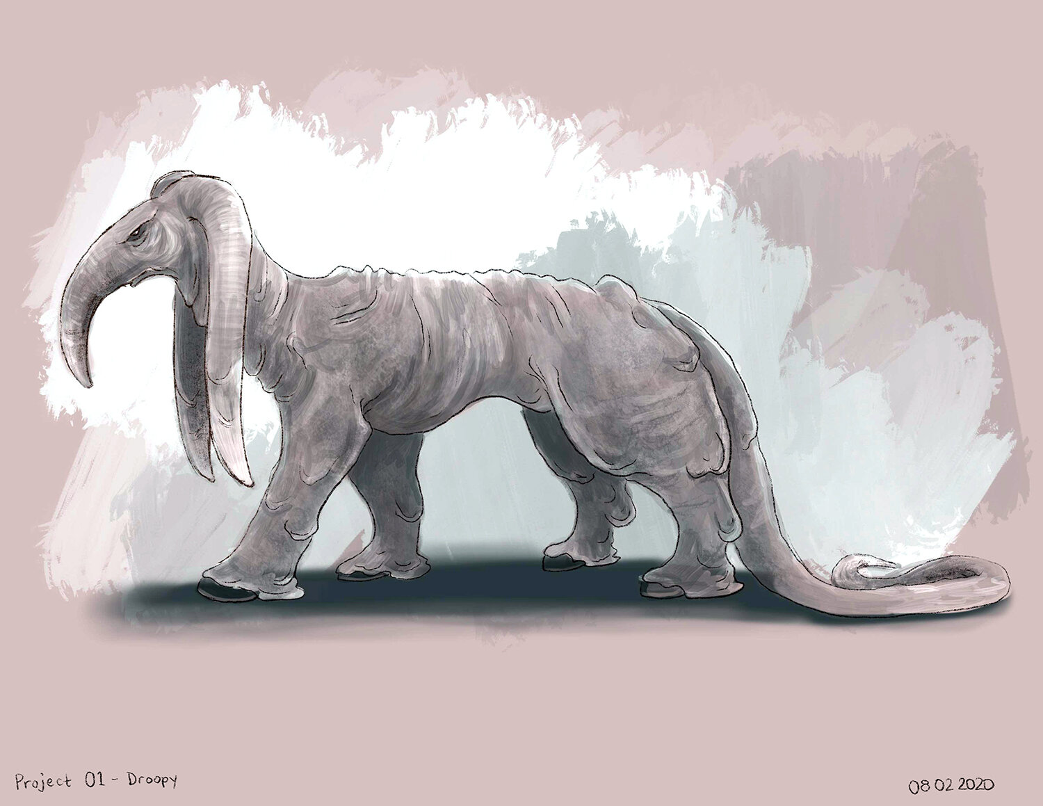 Project 01 - Droopy.jpg