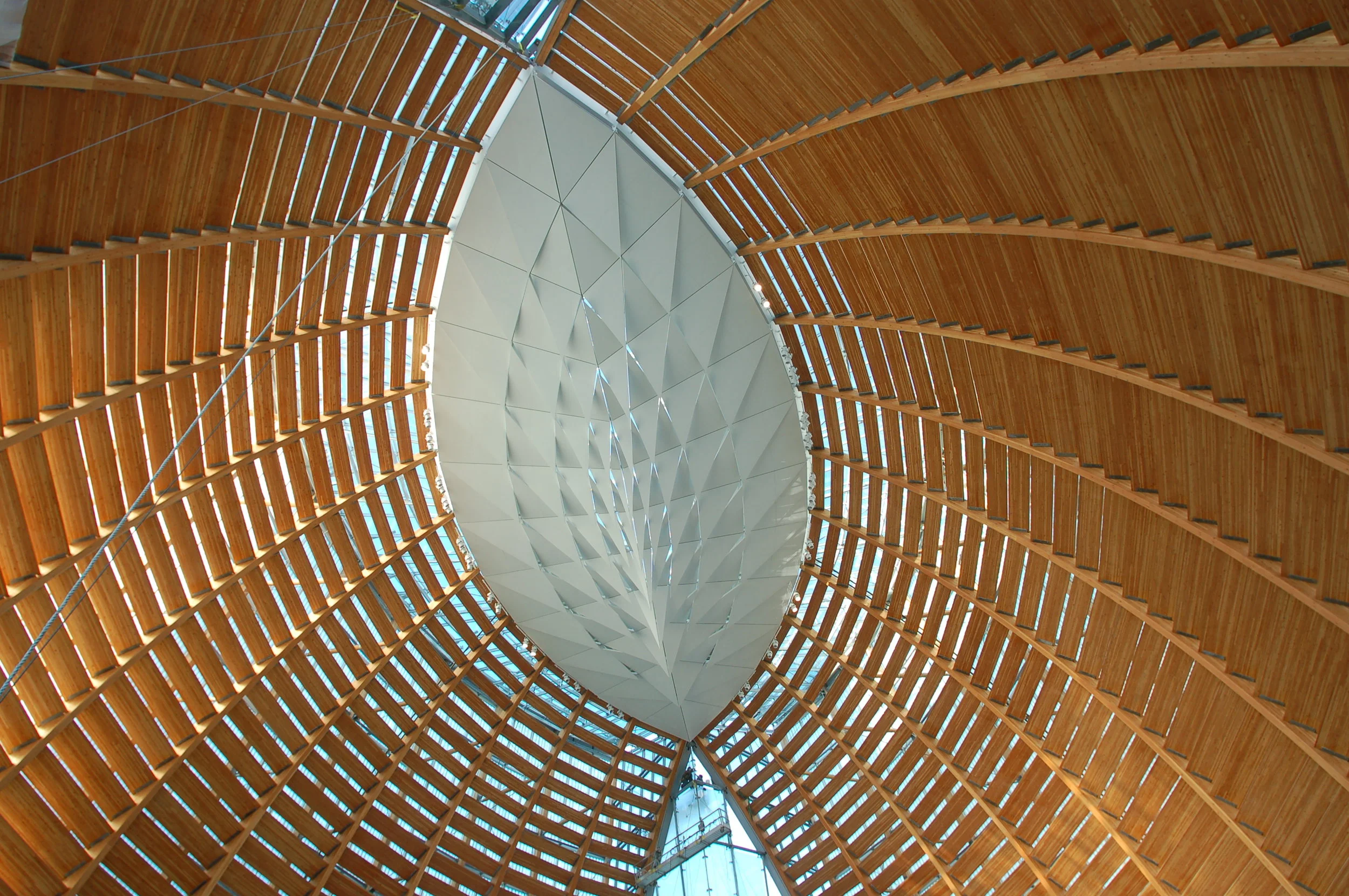 finish line fallen timbers