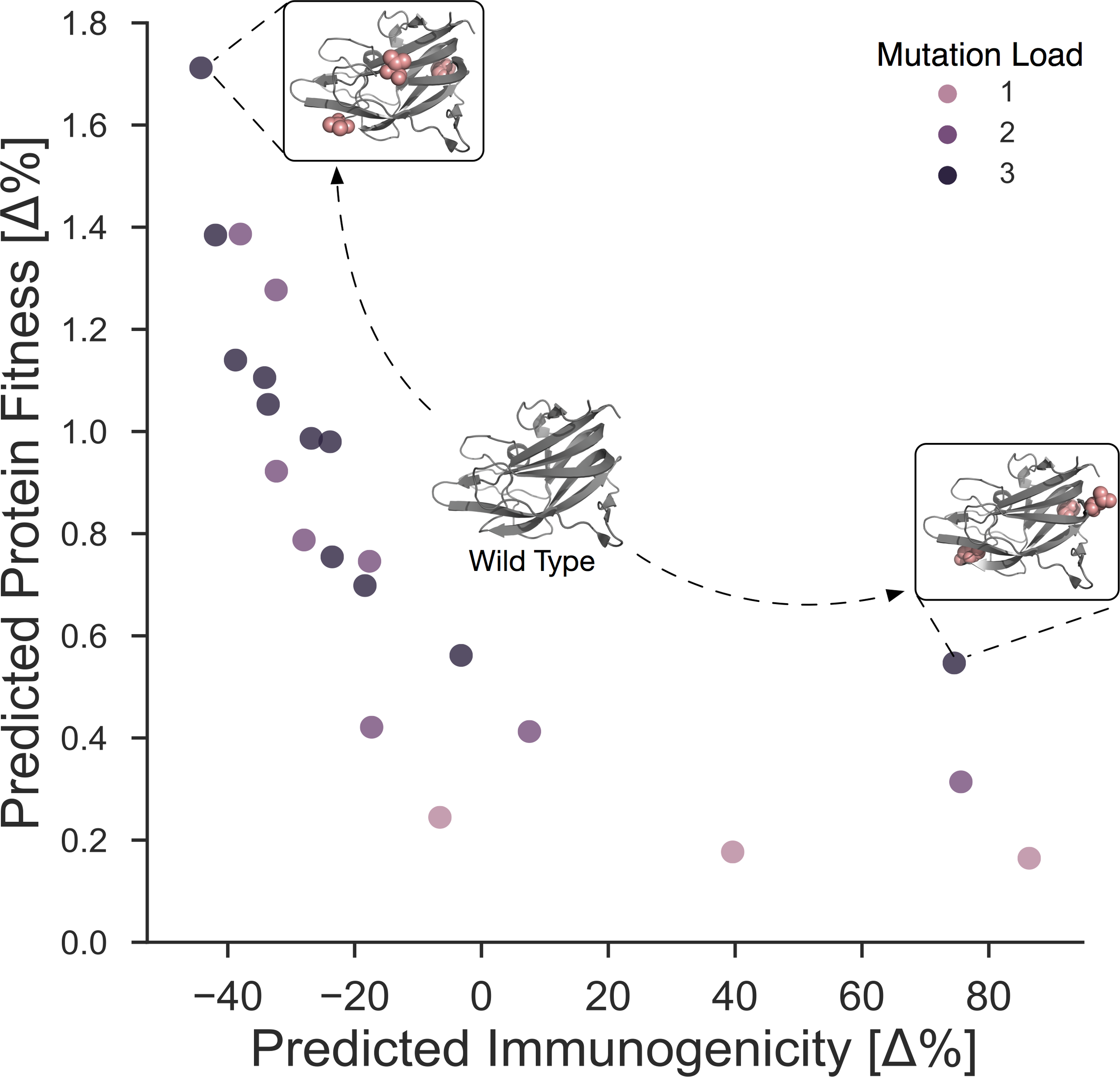 Population-specific design of De-immunized Protein Biotherapeutics