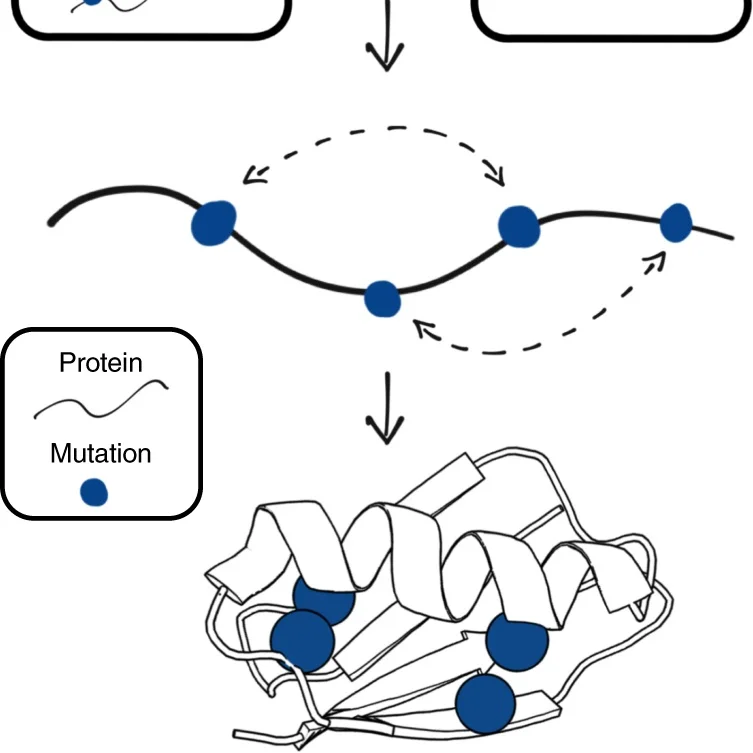 Inferring protein 3D structure from deep mutation scans (Copy) (Copy)