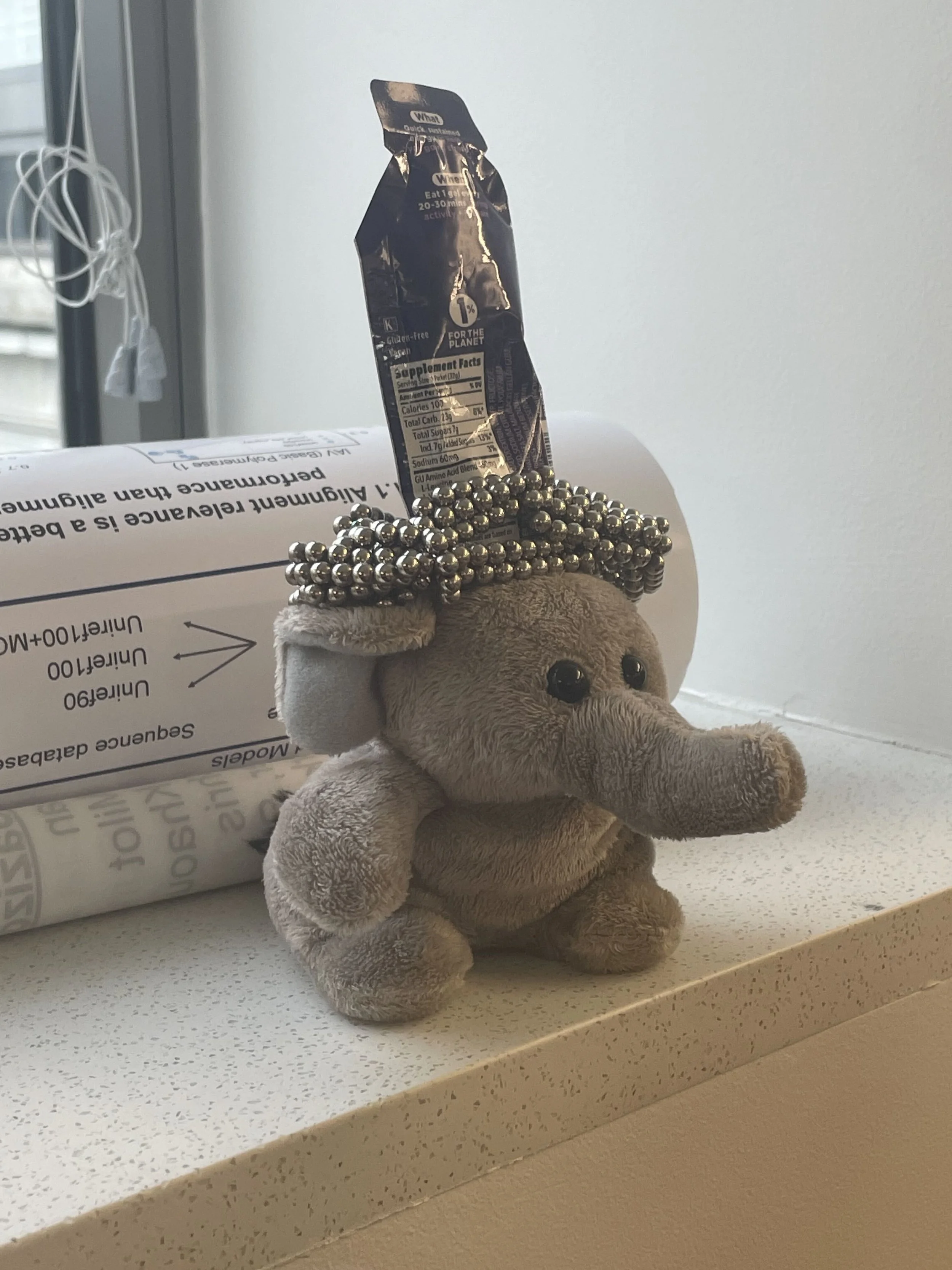 Writing Retreat Elephant.jpg