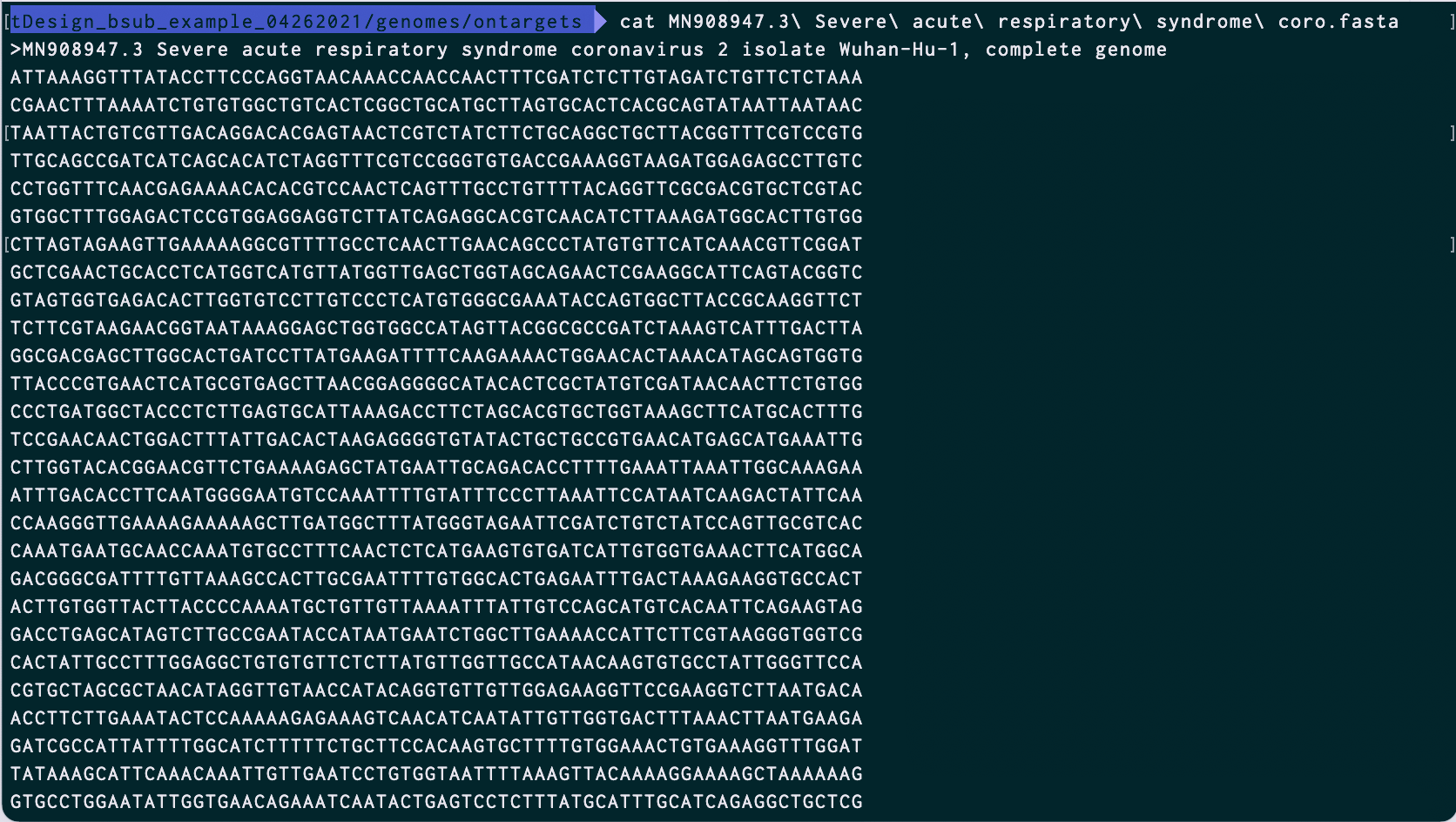 Screen Shot 2021-05-12 at 1.01.46 PM.png