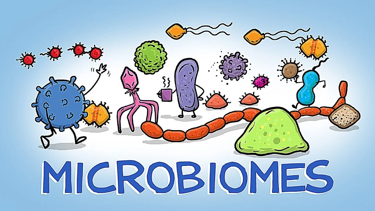 What is the Microbiome