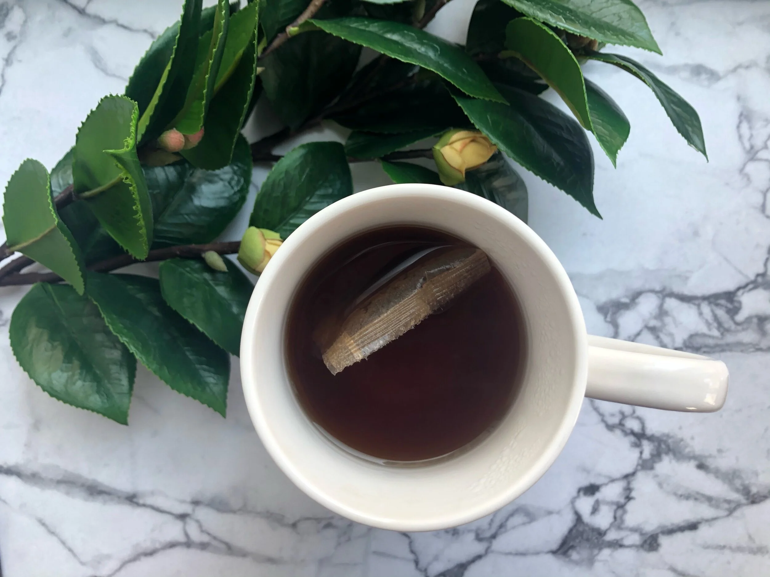 Comparing Sweeteners Part 2: Current Trends in Sweeteners