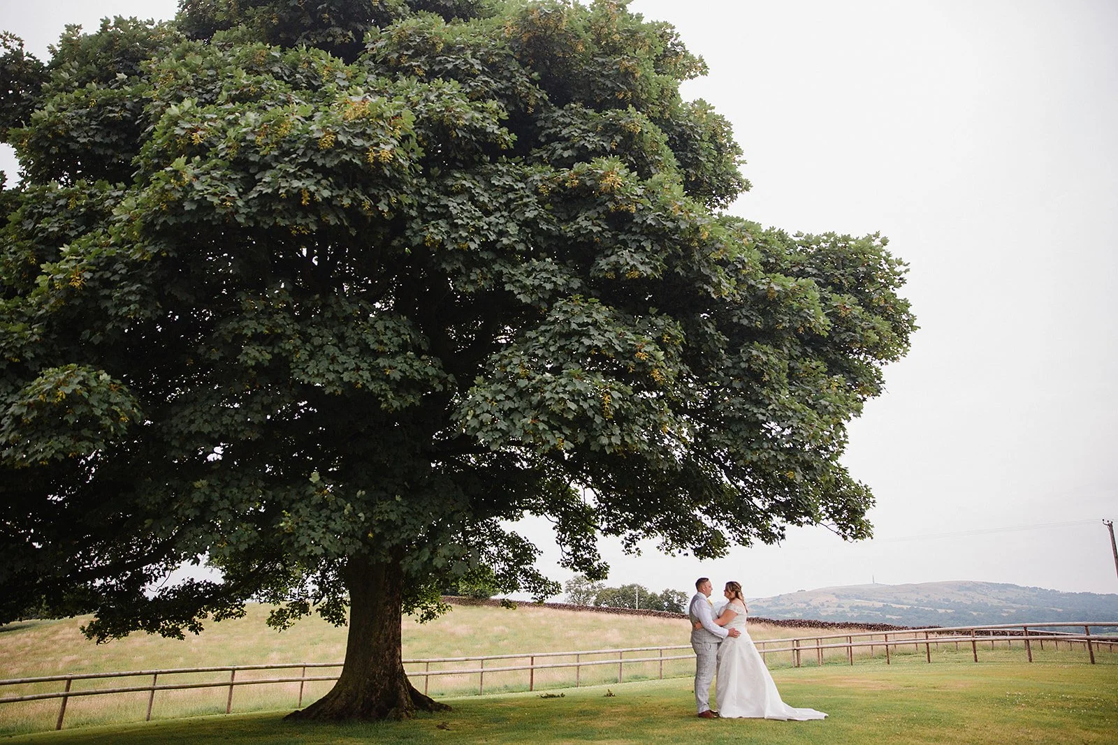 heaton-house-farm-wedding-couple-kiss-sycamore-tree.jpg