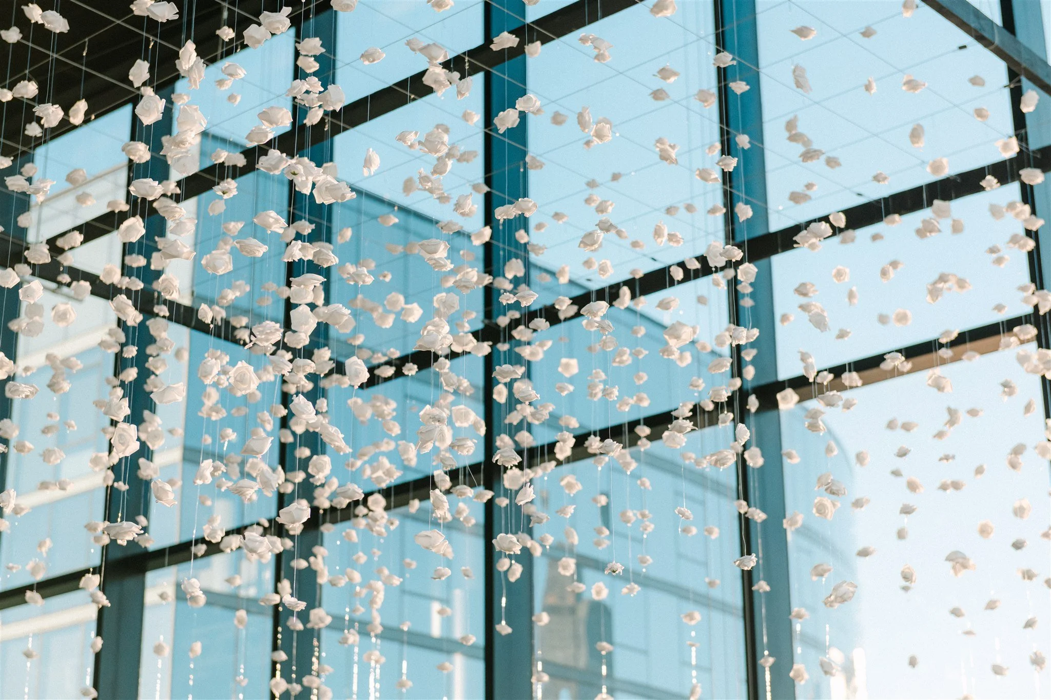 Ed & Aileen Photography_AD-258.jpg