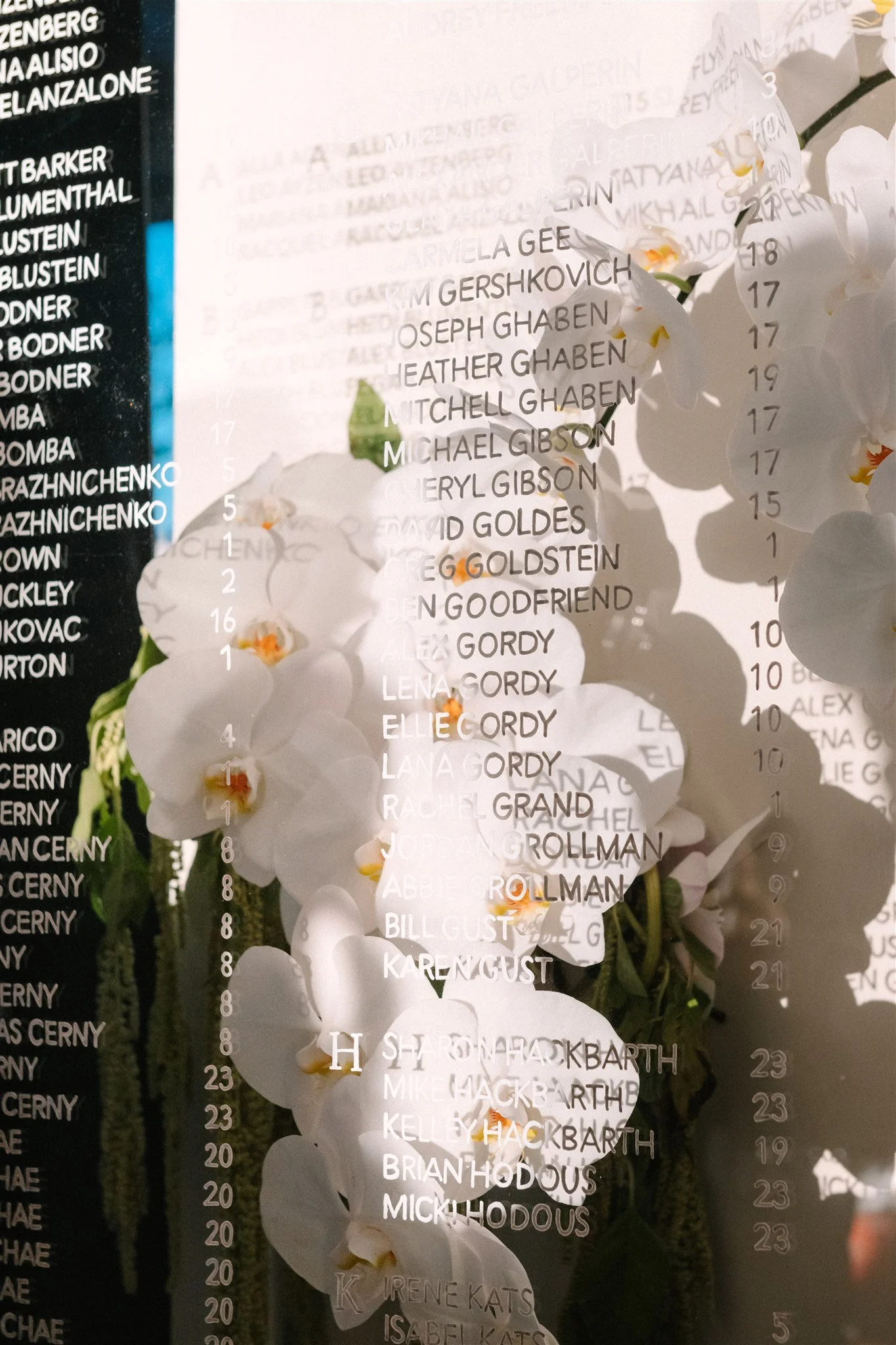 Ed & Aileen Photography_AD-466.jpg