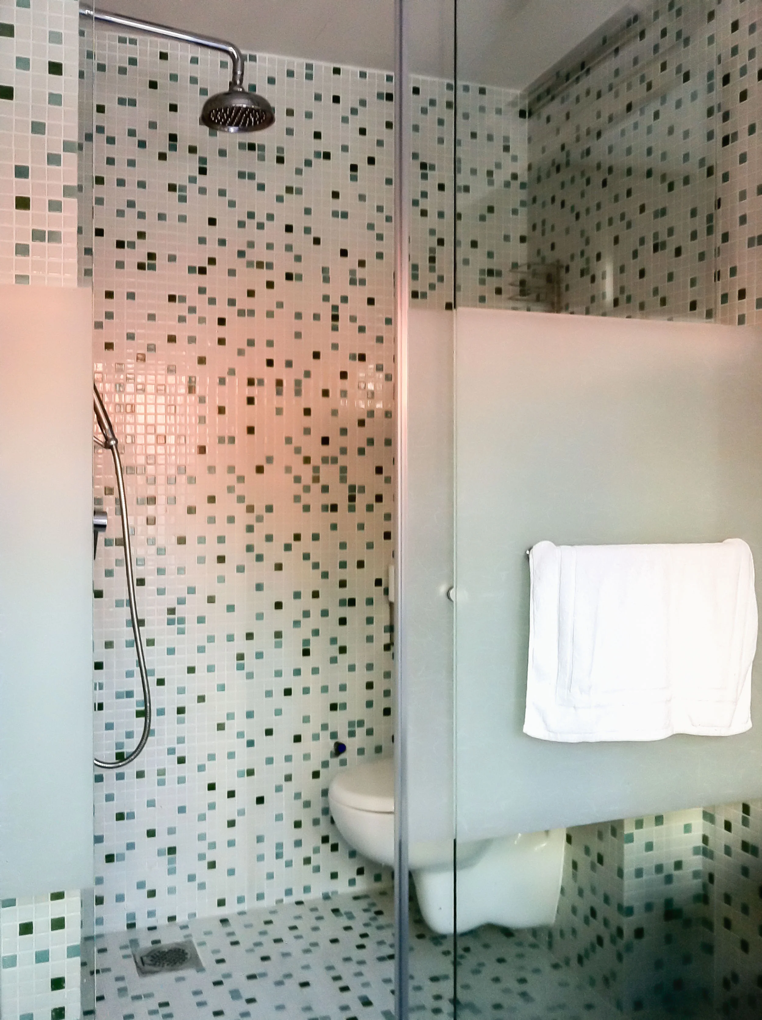 A Toilet and Shower in One. Good Idea or Bad Idea? — Design Inside