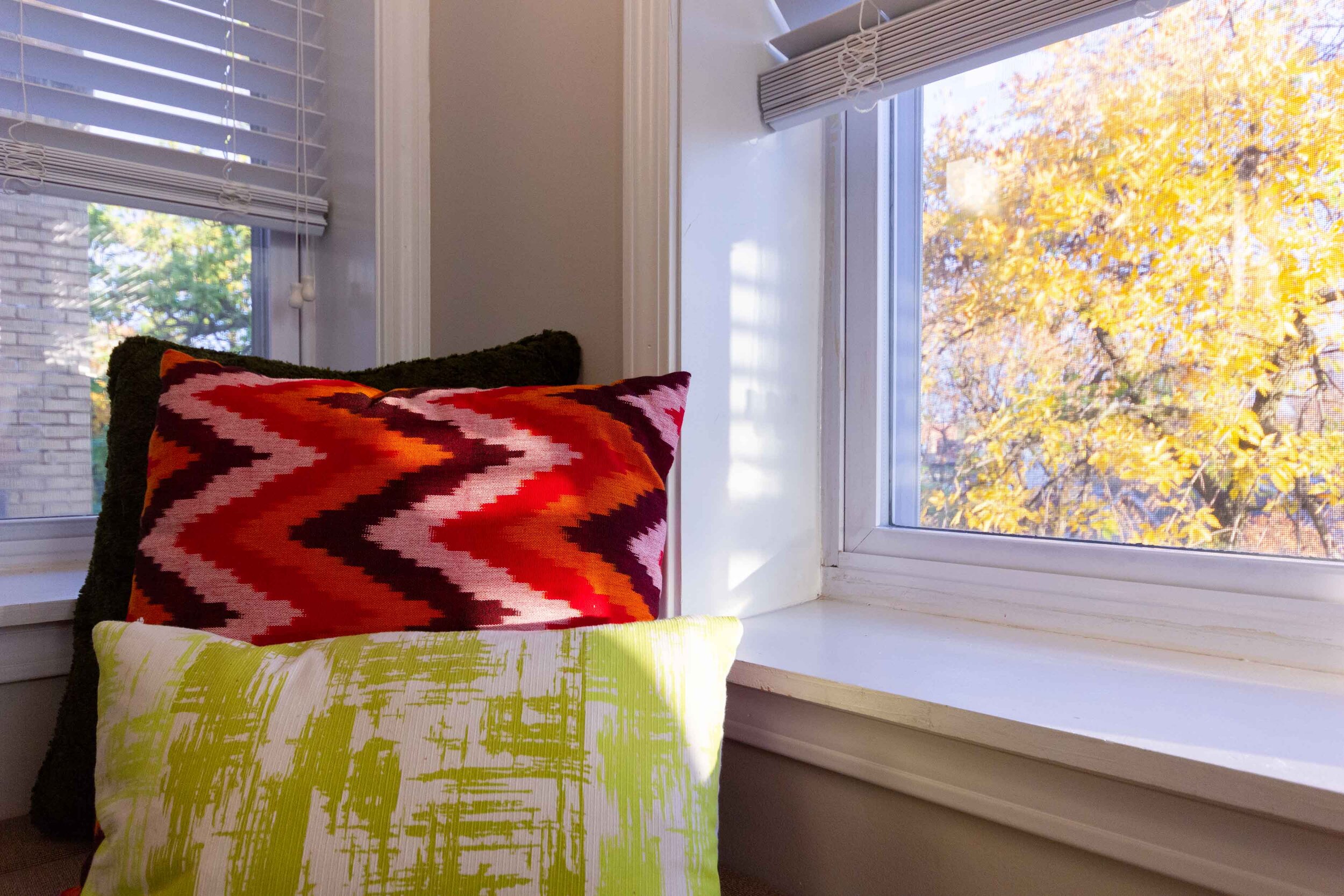 质朴的现代客厅 - 在秋天天的自定义窗口长凳 - 室内设计芝加哥.jpg