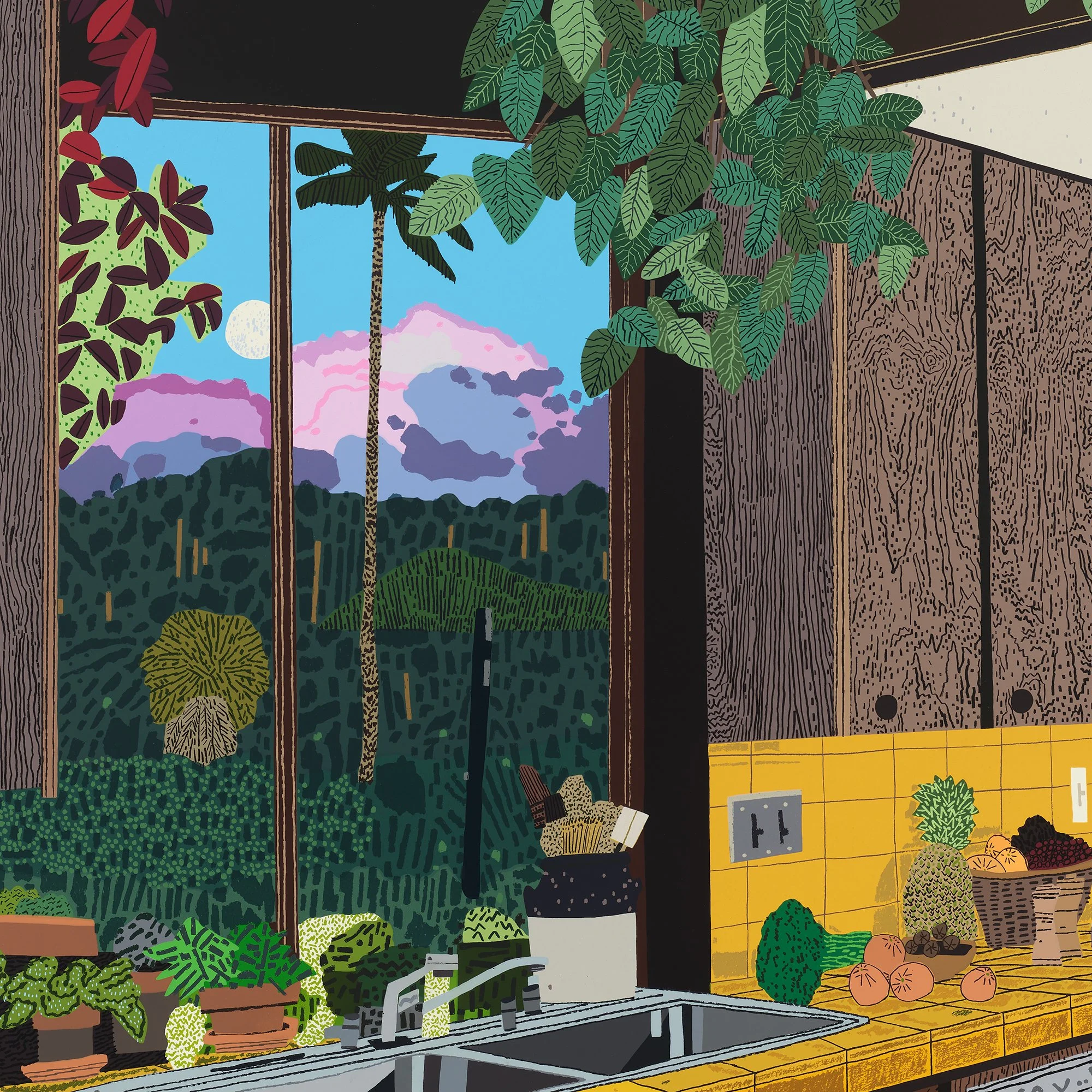 Jonas Wood Kitchen Interior — Aliso Editions