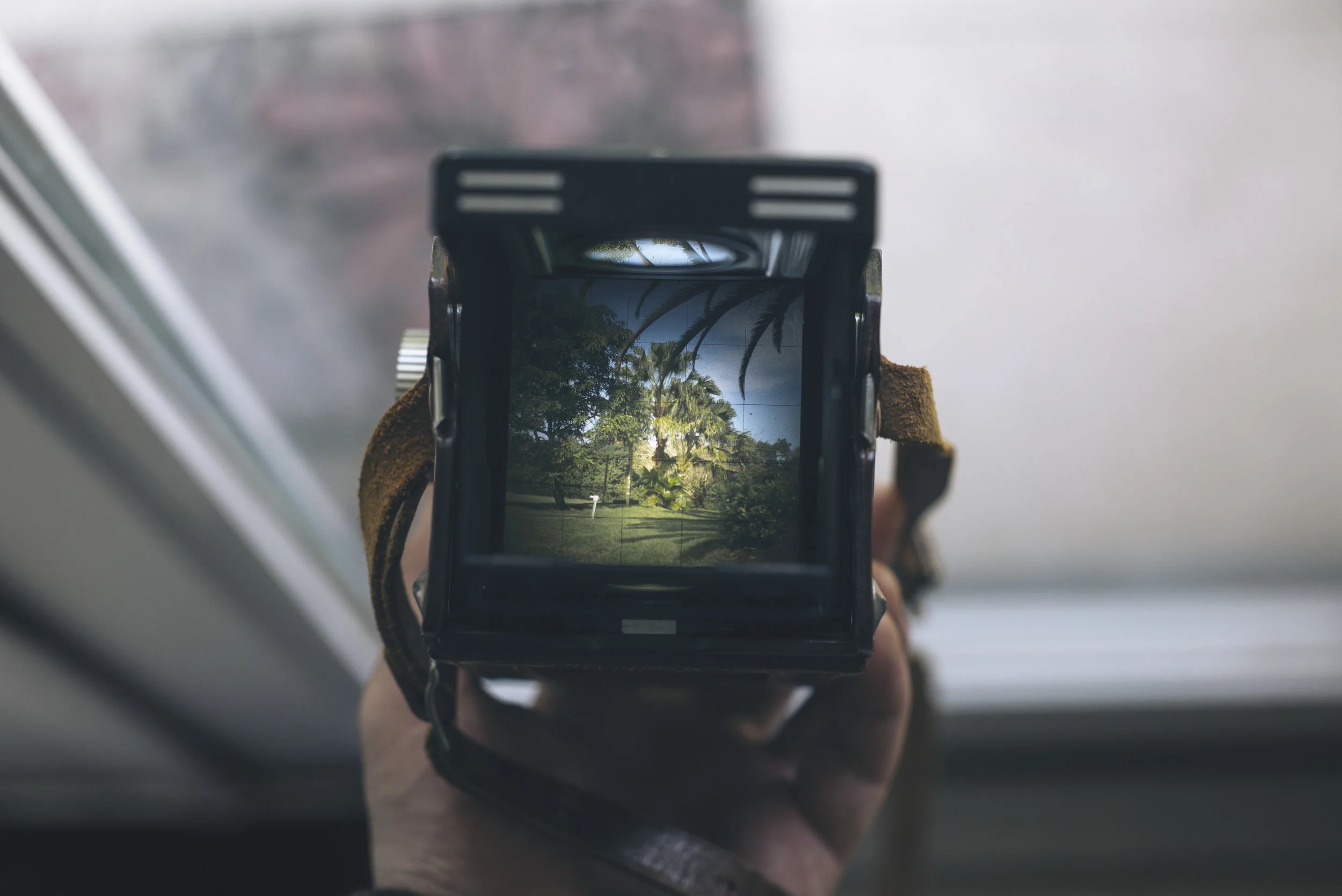 Analogue Film, Digital Cameras