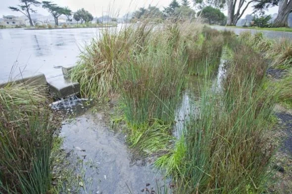 Workshop on stormwater capture, treatment and use