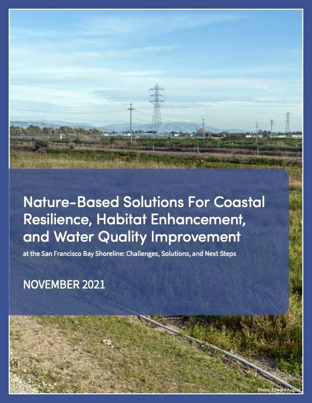 Report -- Nature-Based Solutions for Coastal Resilience, Habitat Enhancement, and Water Quality Improvement at the San Francisco Bay Shoreline: Challenges, Solutions, and Next Steps