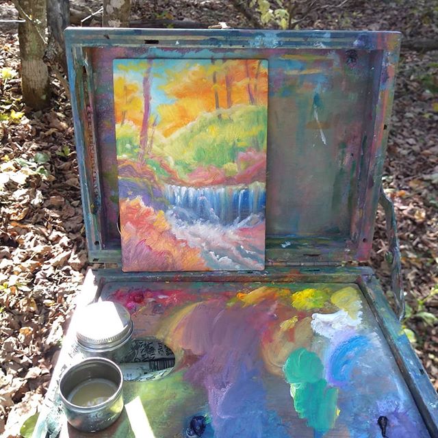 Painting inspiration at Nerstrand Falls.
#fineart #pleinair #pleinairpainter  #paint #pochade  #create #loveart #oilpainting