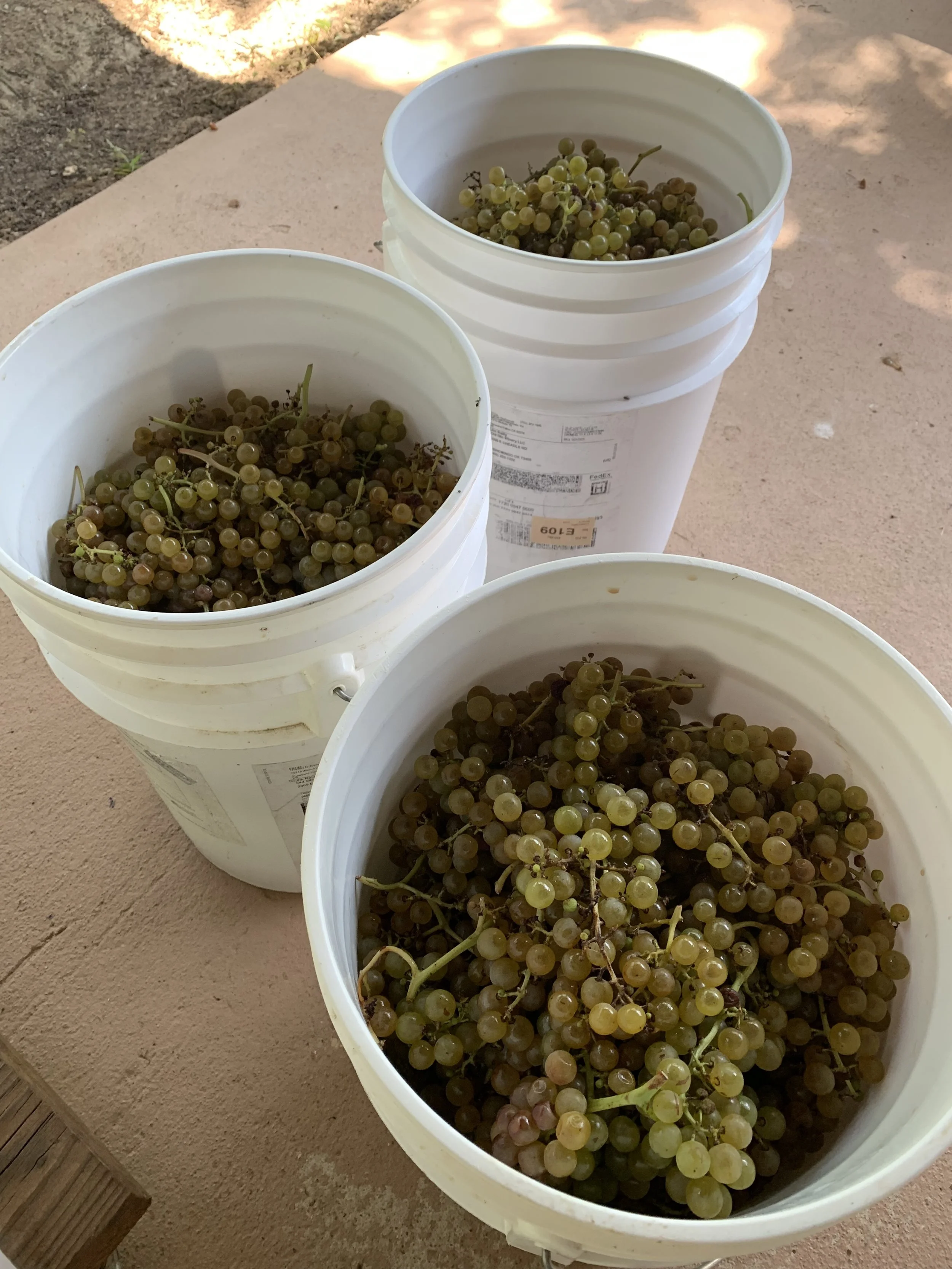 Winemaking