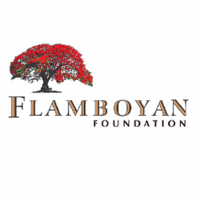 Flamboyan Foundation Funding Strategy