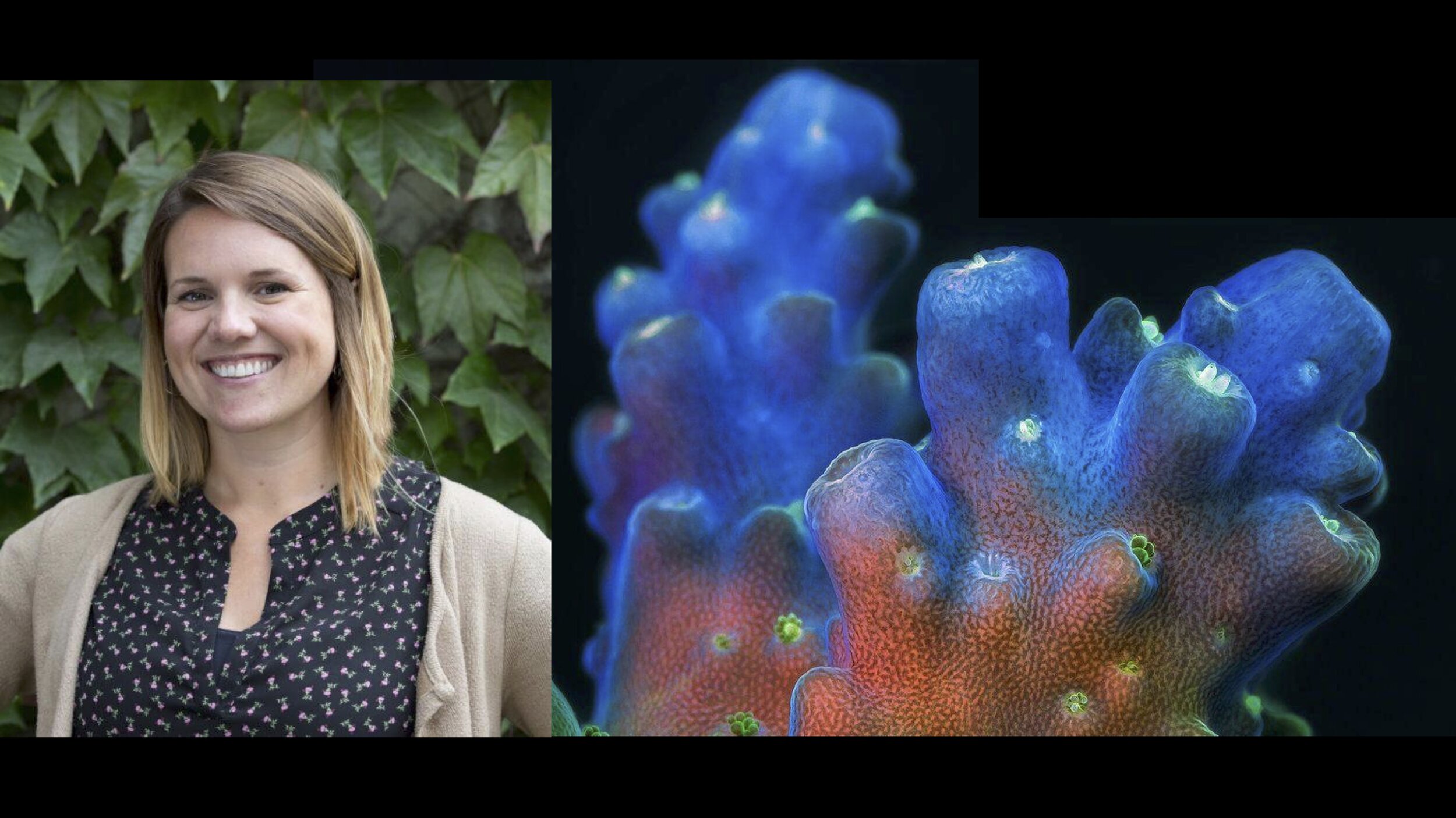 Regreso Al Arrecife Supporter + Our Album